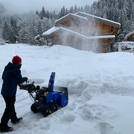 La Jolie Bergere Villa Morzine Luaran gambar